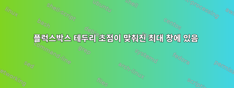 플럭스박스 테두리 초점이 맞춰진 최대 창에 있음