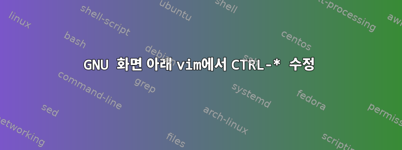 GNU 화면 아래 vim에서 CTRL-* 수정