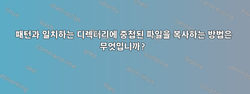 패턴과 일치하는 디렉터리에 중첩된 파일을 복사하는 방법은 무엇입니까?