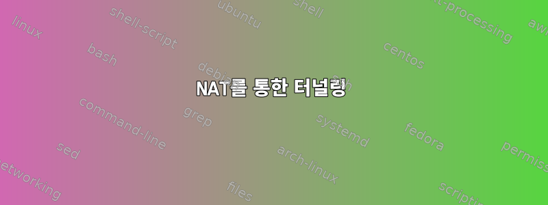 NAT를 통한 터널링