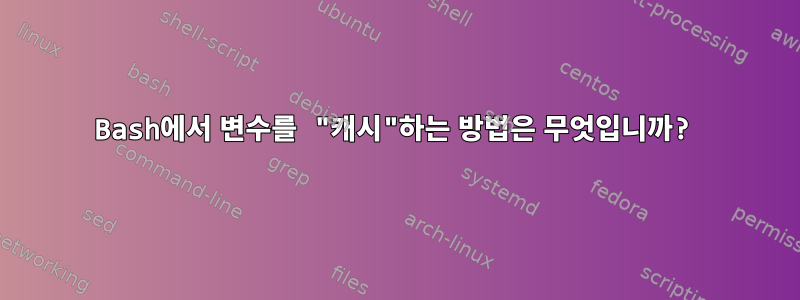 Bash에서 변수를 "캐시"하는 방법은 무엇입니까?