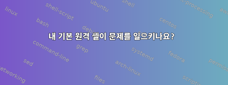 내 기본 원격 셸이 문제를 일으키나요?