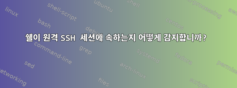 쉘이 원격 SSH 세션에 속하는지 어떻게 감지합니까?