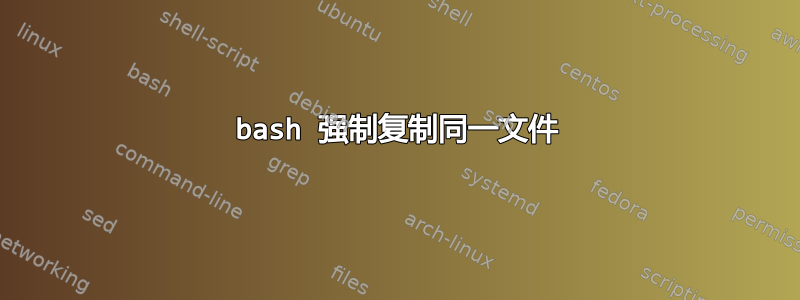 bash 强制复制同一文件