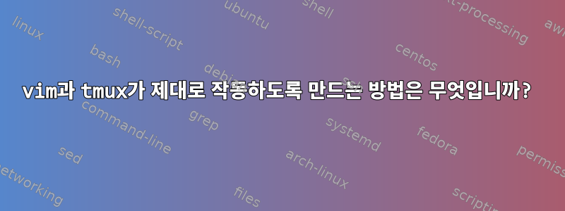 vim과 tmux가 제대로 작동하도록 만드는 방법은 무엇입니까?