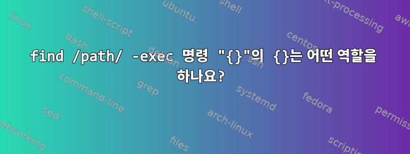 find /path/ -exec 명령 "{}"의 {}는 어떤 ​​역할을 하나요?