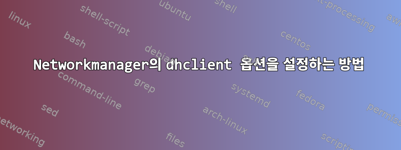 Networkmanager의 dhclient 옵션을 설정하는 방법