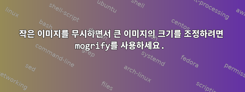 작은 이미지를 무시하면서 큰 이미지의 크기를 조정하려면 mogrify를 사용하세요.