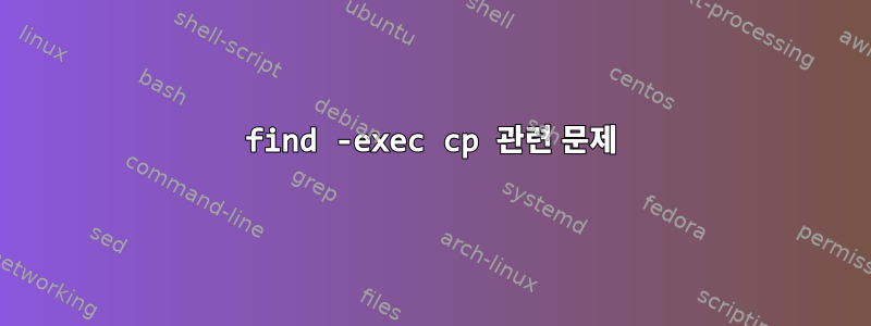 find -exec cp 관련 문제