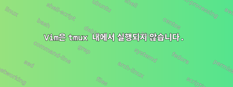 Vim은 tmux 내에서 실행되지 않습니다.