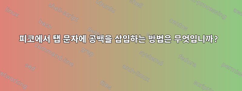 피코에서 탭 문자에 공백을 삽입하는 방법은 무엇입니까?