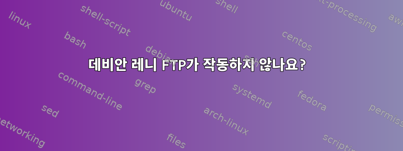 데비안 레니 FTP가 작동하지 않나요?