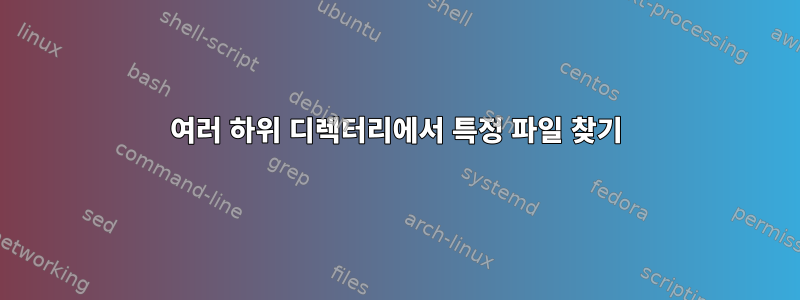 여러 하위 디렉터리에서 특정 파일 찾기