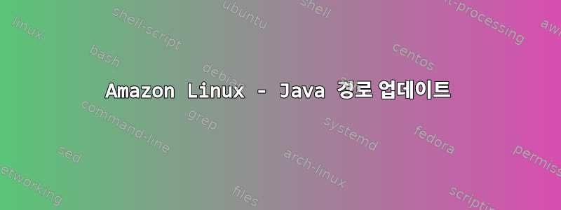 Amazon Linux - Java 경로 업데이트