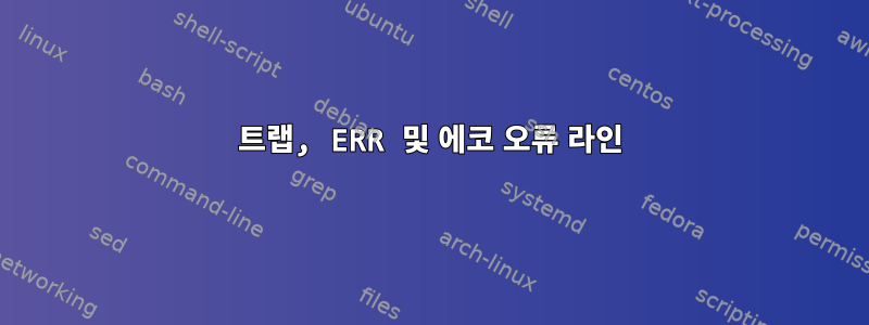 트랩, ERR 및 에코 오류 라인