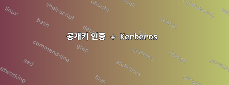 공개키 인증 + Kerberos