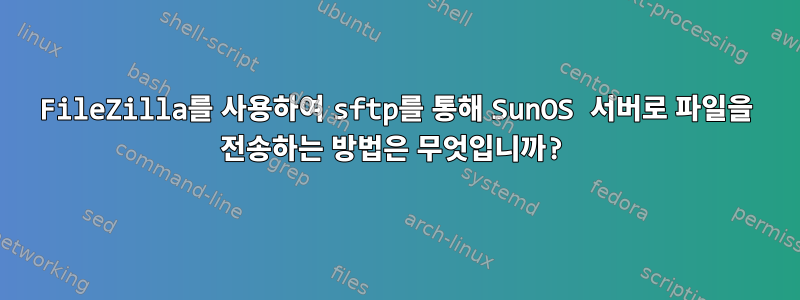 FileZilla를 사용하여 sftp를 통해 SunOS 서버로 파일을 전송하는 방법은 무엇입니까?