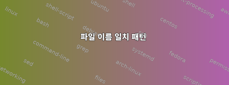 파일 이름 일치 패턴