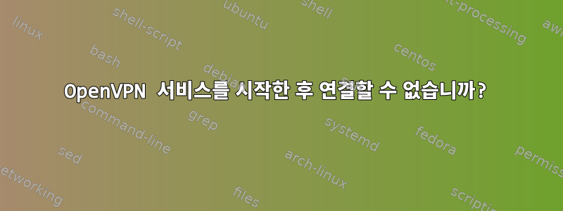 OpenVPN 서비스를 시작한 후 연결할 수 없습니까?