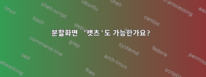 분할화면 '캣츠'도 가능한가요?