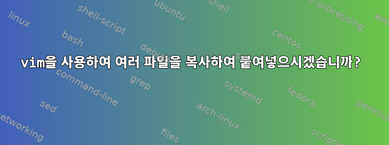 vim을 사용하여 여러 파일을 복사하여 붙여넣으시겠습니까?