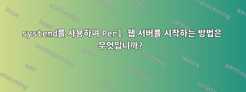 systemd를 사용하여 Perl 웹 서버를 시작하는 방법은 무엇입니까?