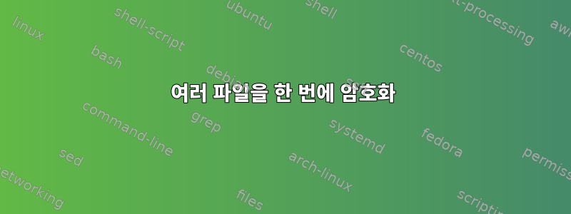 여러 파일을 한 번에 암호화