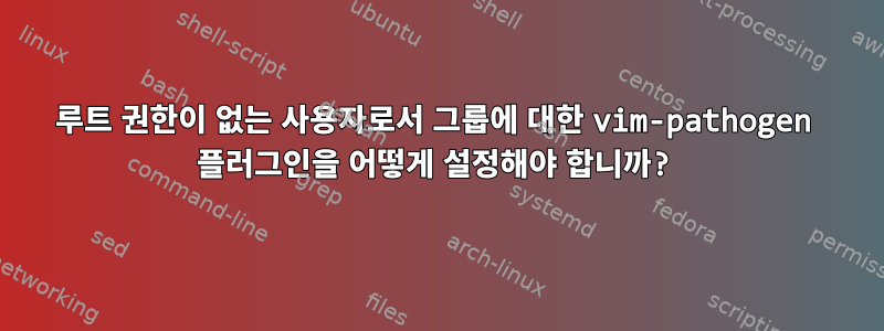 루트 권한이 없는 사용자로서 그룹에 대한 vim-pathogen 플러그인을 어떻게 설정해야 합니까?