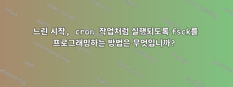 느린 시작, cron 작업처럼 실행되도록 fsck를 프로그래밍하는 방법은 무엇입니까?