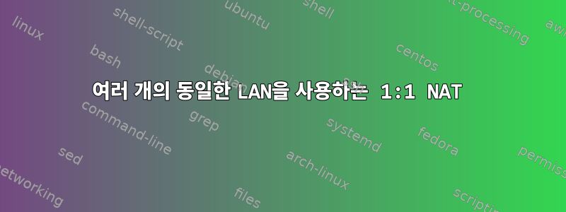 여러 개의 동일한 LAN을 사용하는 1:1 NAT