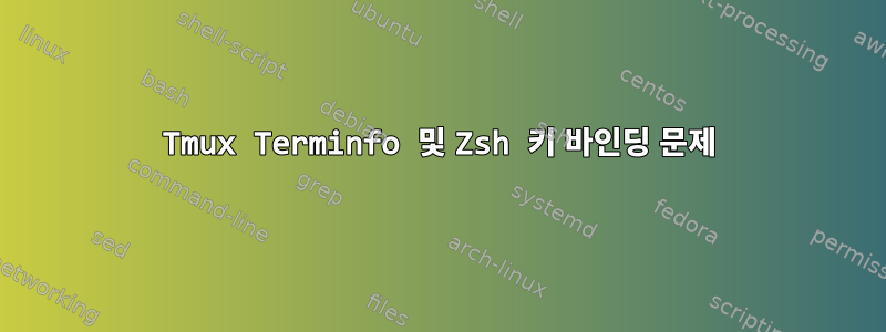 Tmux Terminfo 및 Zsh 키 바인딩 문제