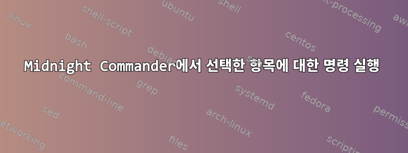 Midnight Commander에서 선택한 항목에 대한 명령 실행