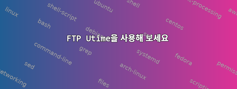 FTP Utime을 사용해 보세요