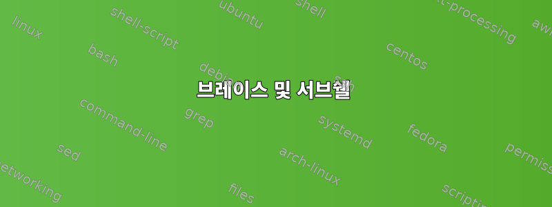 브레이스 및 서브쉘