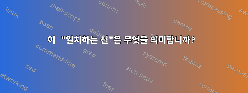 이 "일치하는 선"은 무엇을 의미합니까?