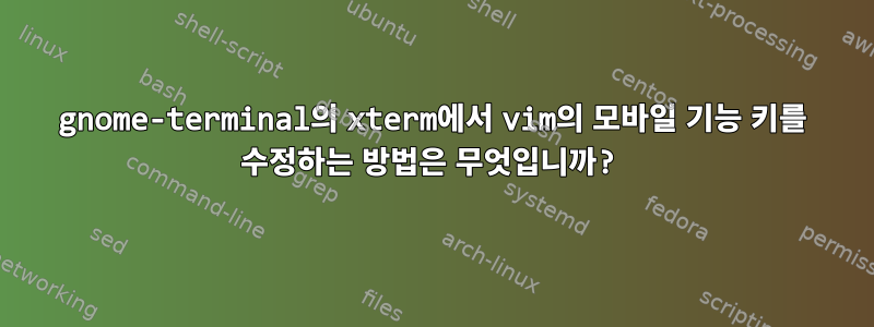 gnome-terminal의 xterm에서 vim의 모바일 기능 키를 수정하는 방법은 무엇입니까?