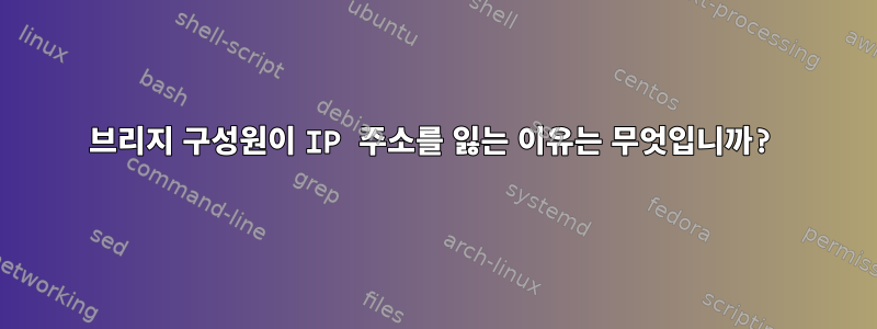 브리지 구성원이 IP 주소를 잃는 이유는 무엇입니까?