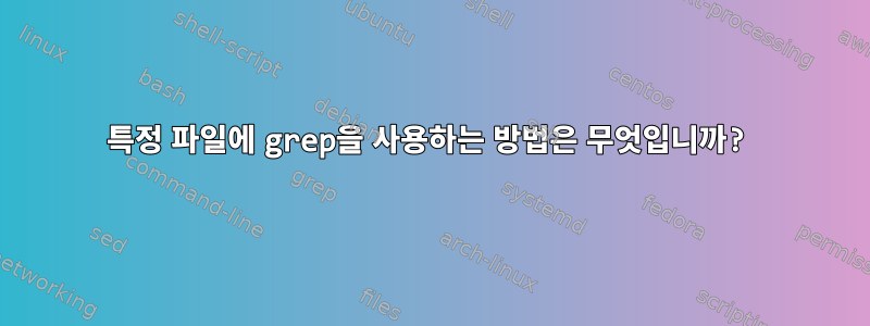 특정 파일에 grep을 사용하는 방법은 무엇입니까?