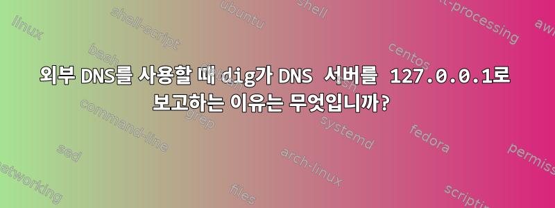 외부 DNS를 사용할 때 dig가 DNS 서버를 127.0.0.1로 보고하는 이유는 무엇입니까?