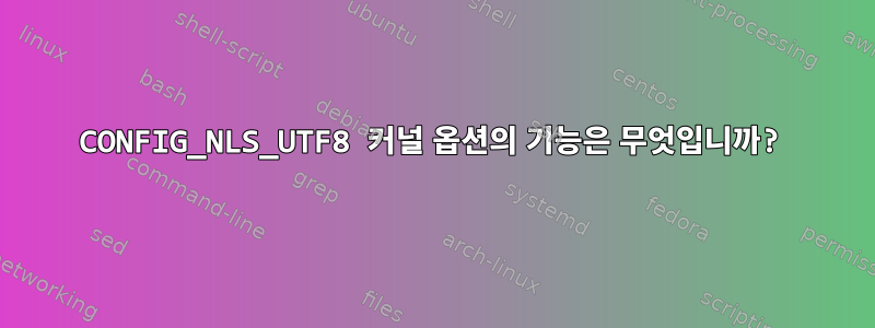 CONFIG_NLS_UTF8 커널 옵션의 기능은 무엇입니까?