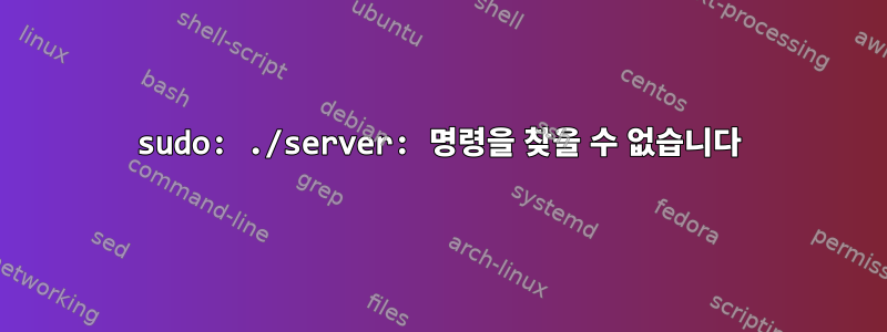 sudo: ./server: 명령을 찾을 수 없습니다