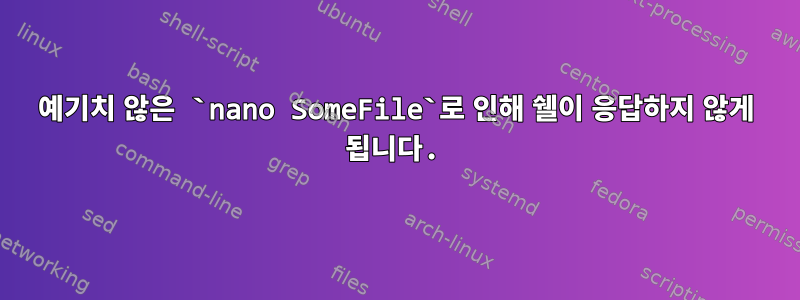 예기치 않은 `nano SomeFile`로 인해 쉘이 응답하지 않게 됩니다.