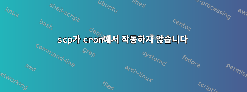 scp가 cron에서 작동하지 않습니다