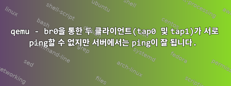 qemu - br0을 통한 두 클라이언트(tap0 및 tap1)가 서로 ping할 수 없지만 서버에서는 ping이 잘 됩니다.