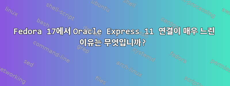 Fedora 17에서 Oracle Express 11 연결이 매우 느린 이유는 무엇입니까?