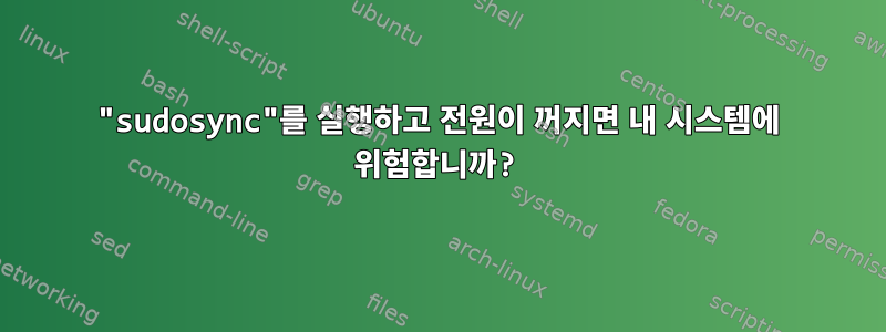 "sudosync"를 실행하고 전원이 꺼지면 내 시스템에 위험합니까?