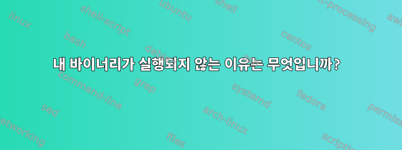 내 바이너리가 실행되지 않는 이유는 무엇입니까?