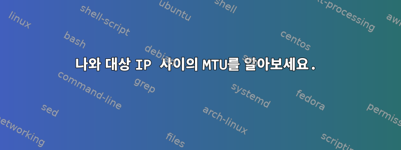 나와 대상 IP 사이의 MTU를 알아보세요.