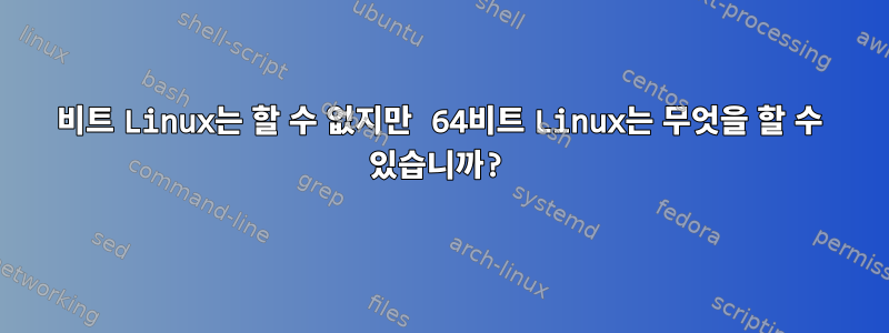 32비트 Linux는 할 수 없지만 64비트 Linux는 무엇을 할 수 있습니까?