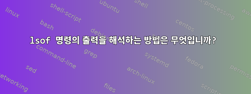 lsof 명령의 출력을 해석하는 방법은 무엇입니까?